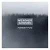 Weather Garden - Forest Fog